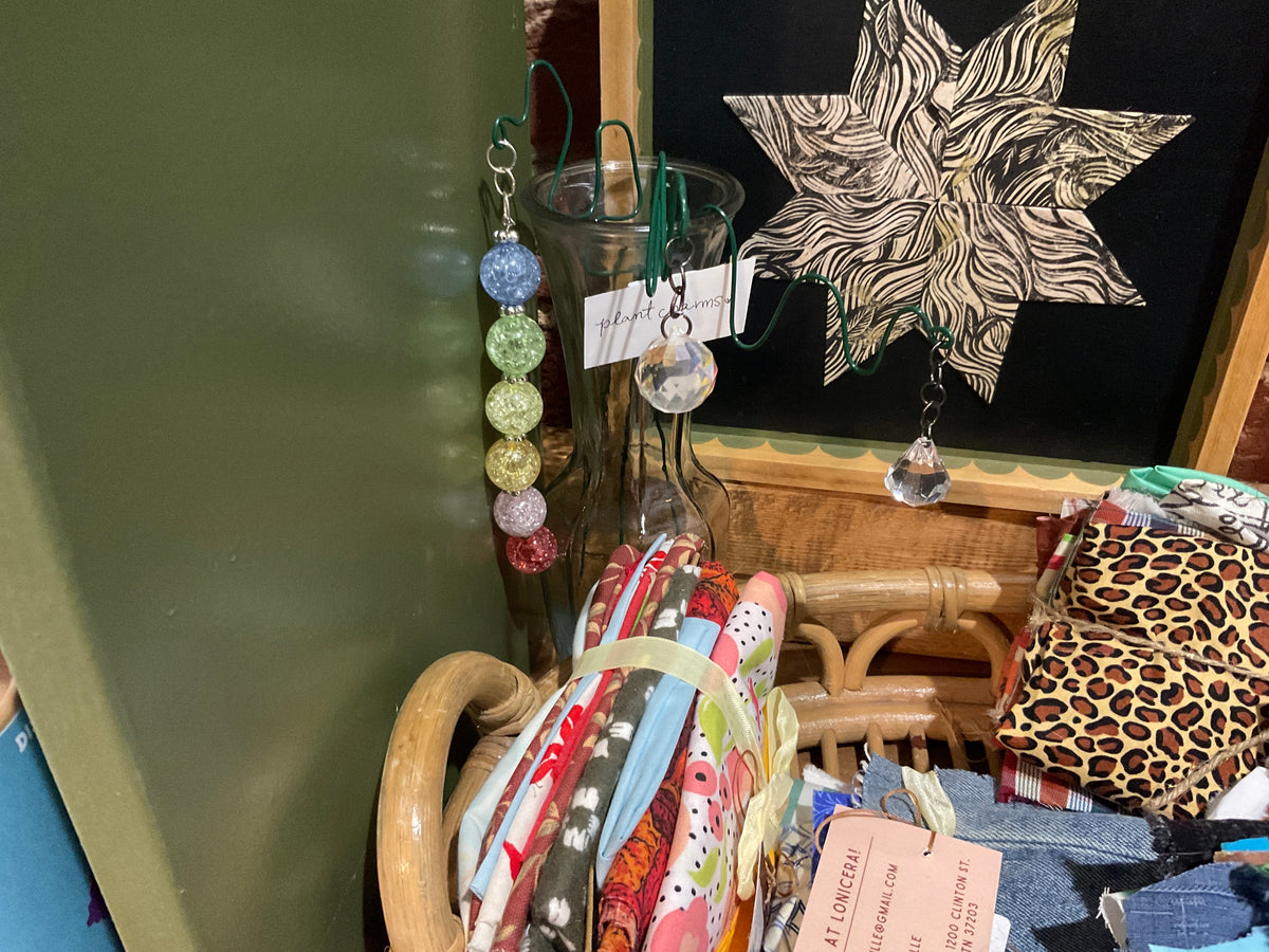 Longoriamericana - Plant Charm