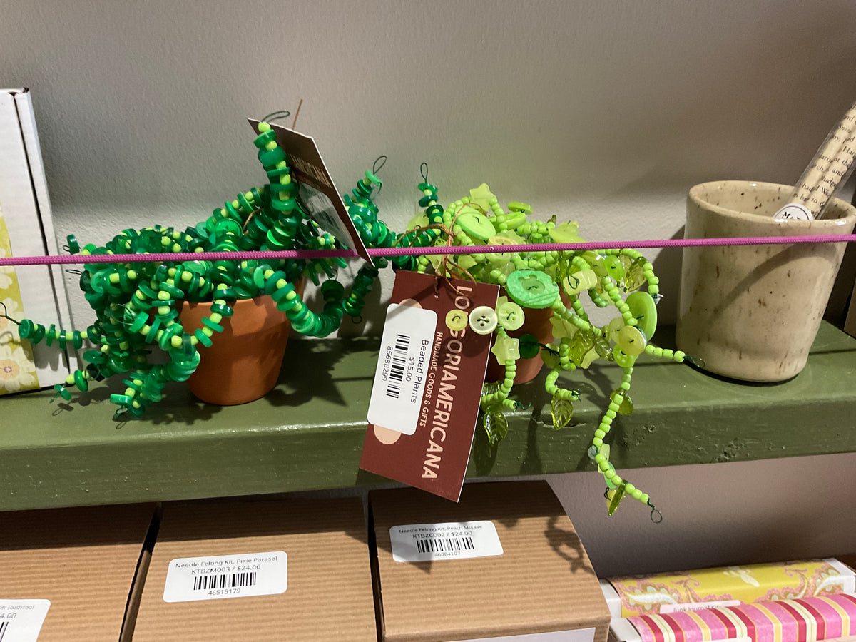 Longoriamericana - Beaded Plant